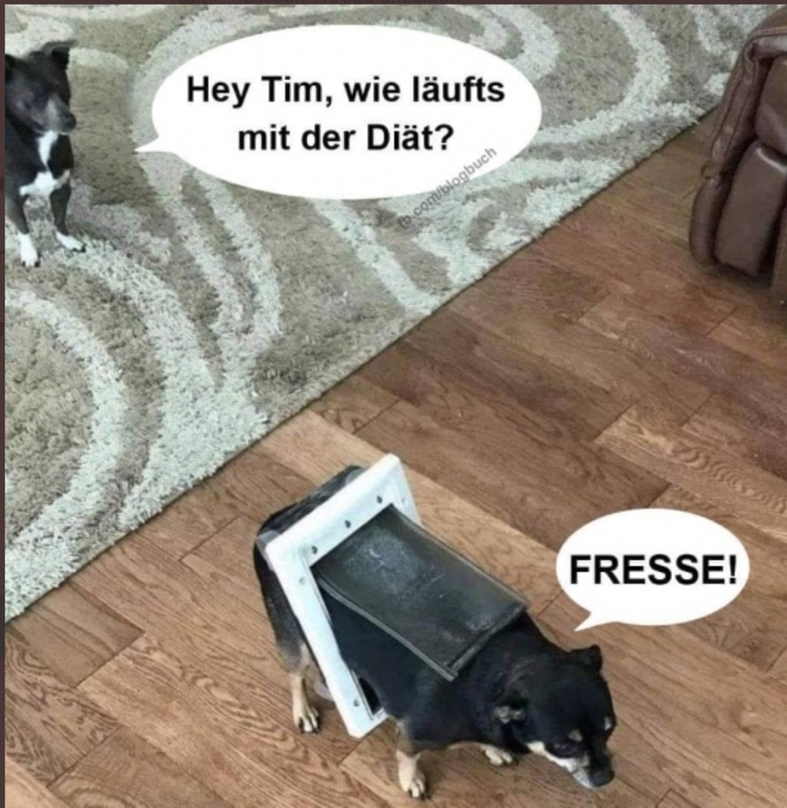 fot mit 2 Hunden und Sprechblasen, Hund1: Wie läufts mit der Diät? Hund2, dick, in Katzenklappe eingeklemmt: Fresse!